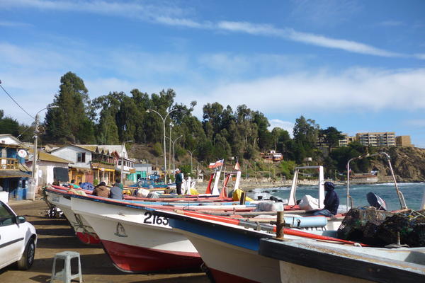 Small-scale fisheries in Chile