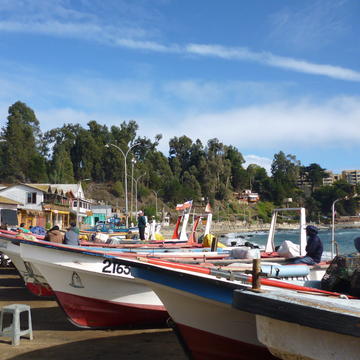 Small-scale fisheries in Chile